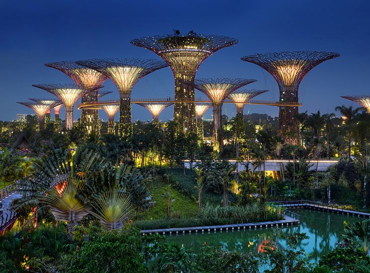 gardens by the bay are the best tourist places in Singapore