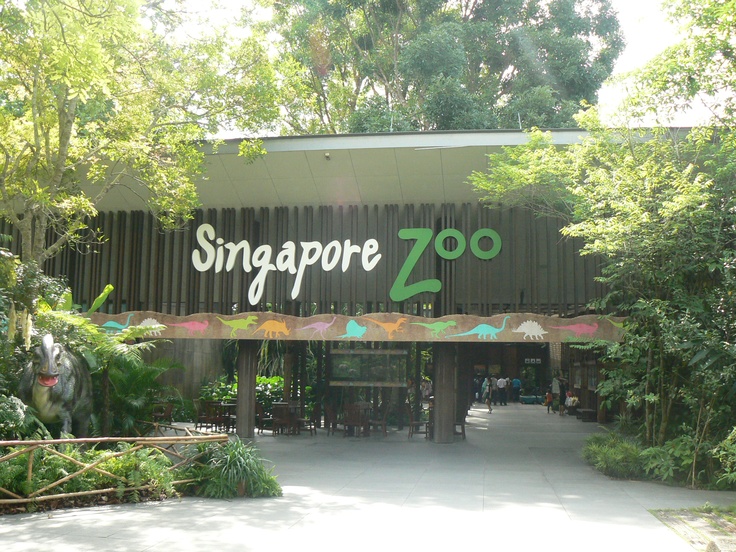 Singapore zoo is the best tourist places in Singapore