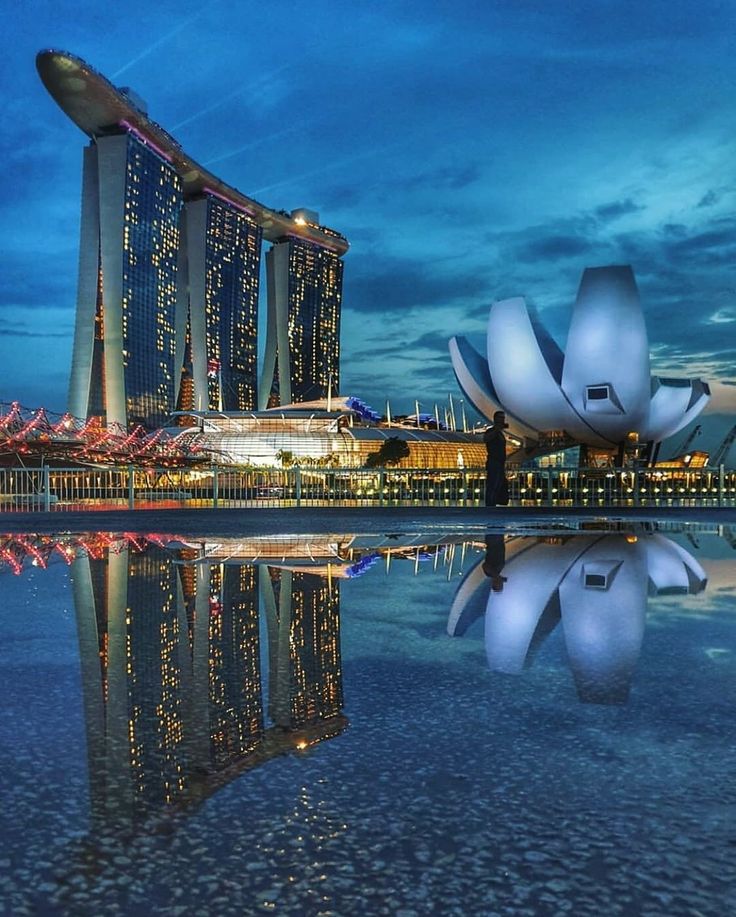 marina bay hotel is the best tourist places in Singapore